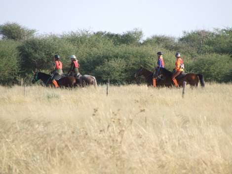 out in the field