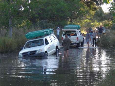 moremi waters