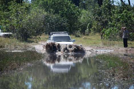 Moremi river wading